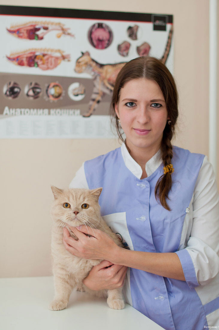 Галеева Нурия Идрисовна